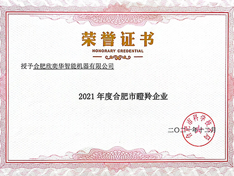 2021年合肥市瞪羚企業(yè)證書(shū)